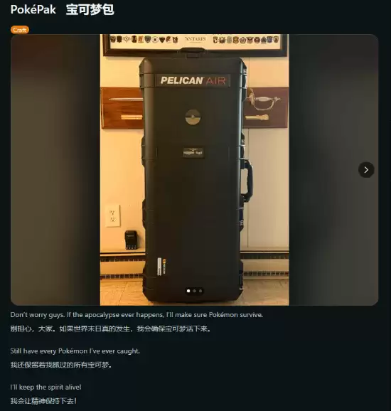 海外玩家打造高安全宝可梦卡带收藏装置引热议