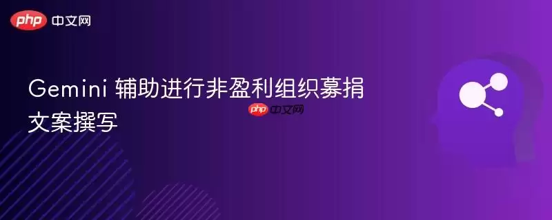 Gemini 辅助进行非盈利组织募捐文案撰写
