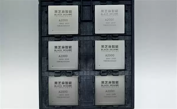国内唯一！国产高性能芯片华山A2000通过美国审查：正式推向全球市场