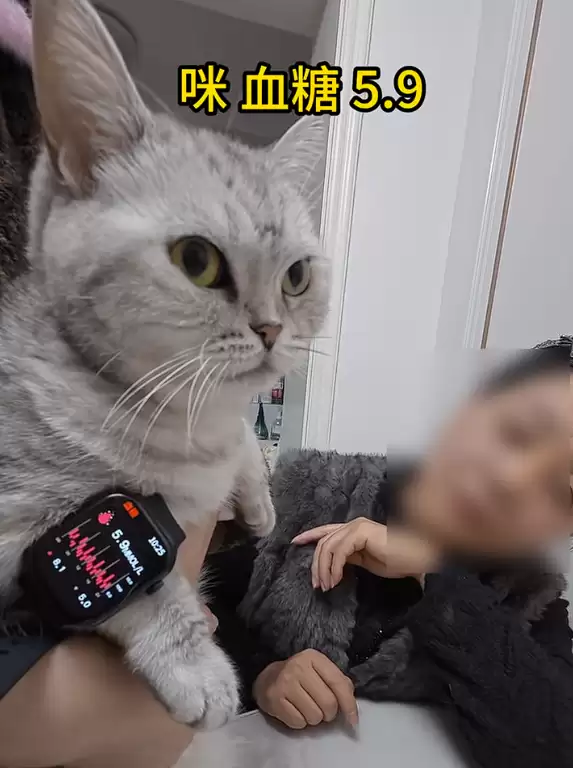 号称“德国进口”！84元网购手表测出吸尘器血糖7.4