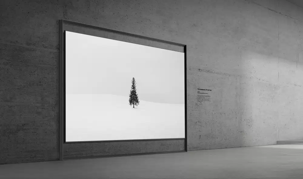 三星发布全球首款 130 英寸 Micro RGB 电视，100% BT.2020 广色域