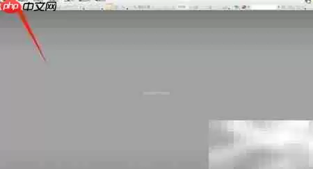 PDF Viewer浏览器显示设置