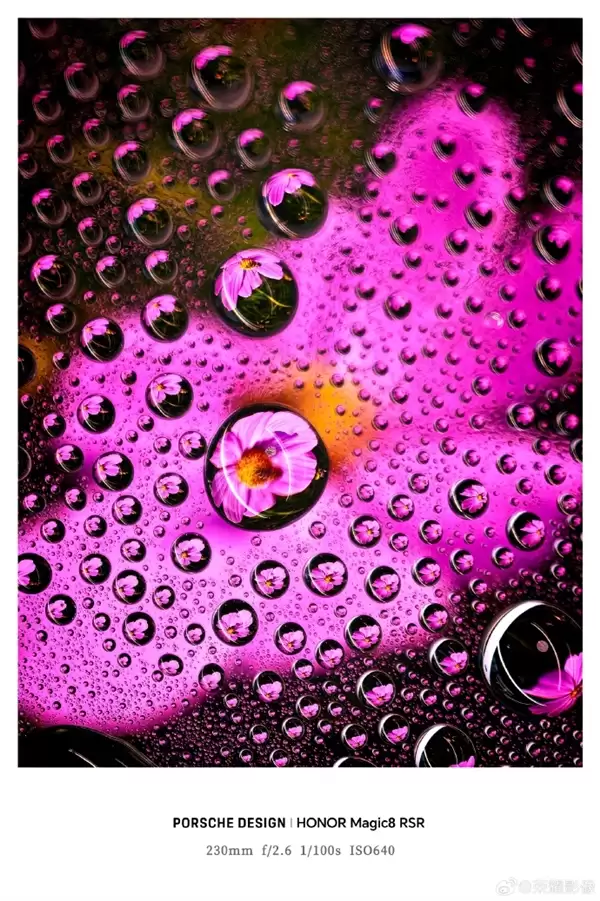 荣耀最强影像旗舰!荣耀Magic8+RSR保时捷设计长焦样张首秀