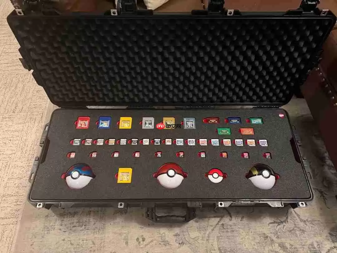 宝可梦大佬晒收藏百宝箱 世界末日来了都不怕