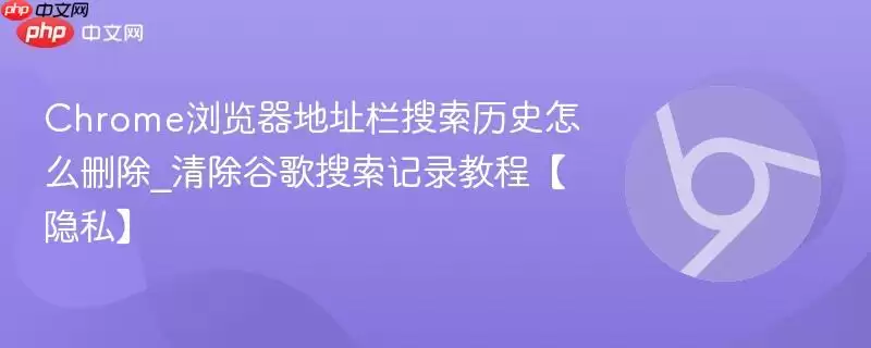 Chrome浏览器地址栏搜索历史怎么删除_清除谷歌搜索记录教程【隐私】