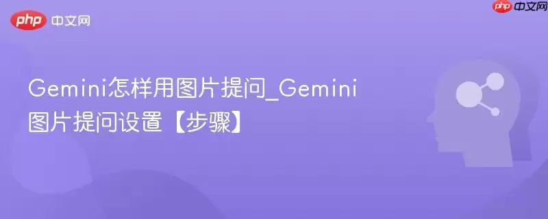 Gemini怎样用图片提问_Gemini图片提问设置【步骤】