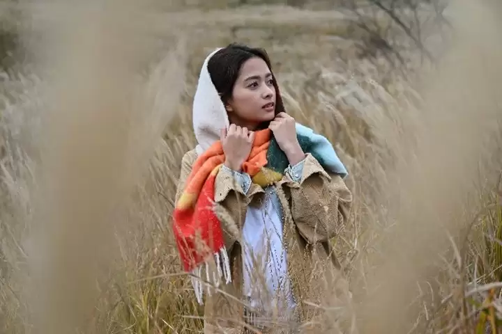 尼康推出一款具有较高便携性的变焦镜头尼克尔 Z 24-105mm f/4-7.1