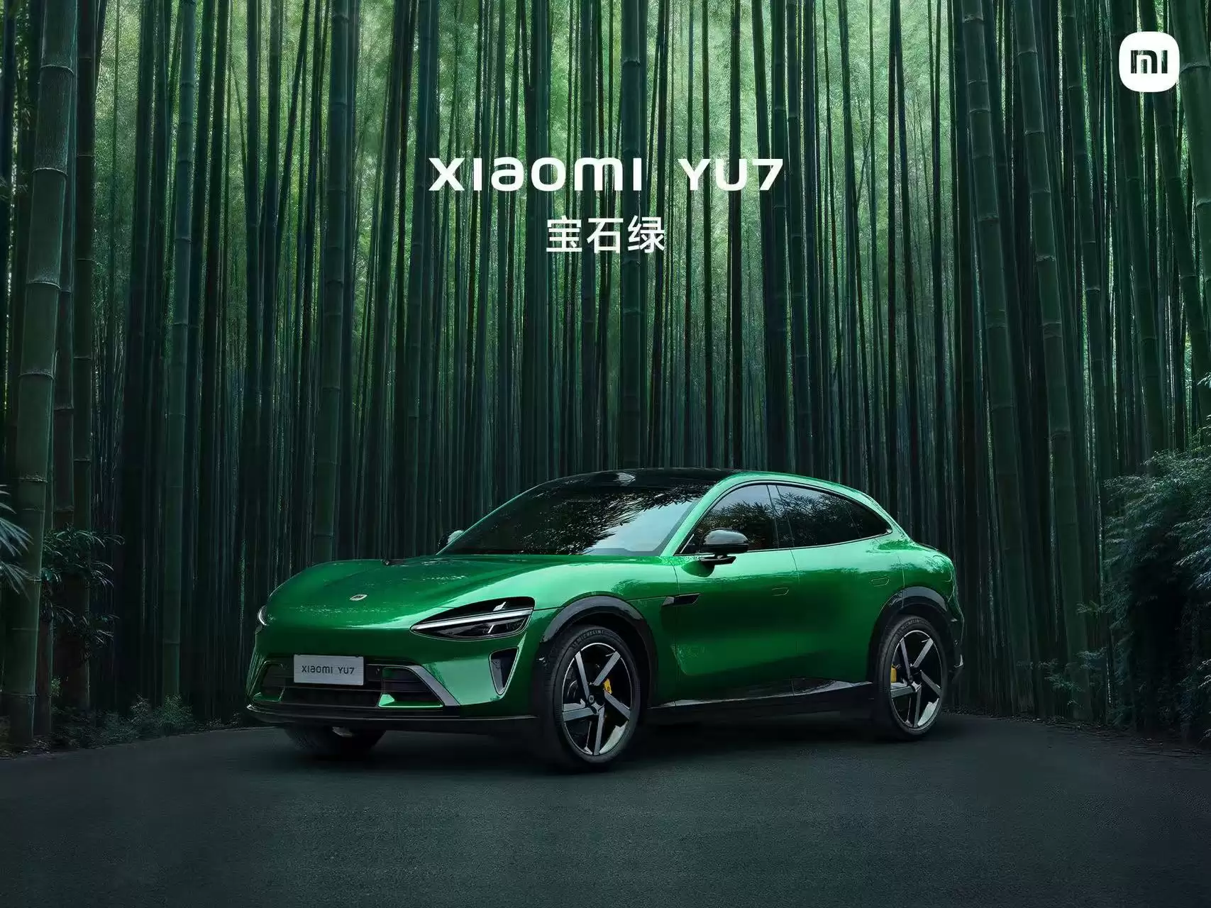 \ e8b8219c6608f98e40b670c50e3a3d84.jpg