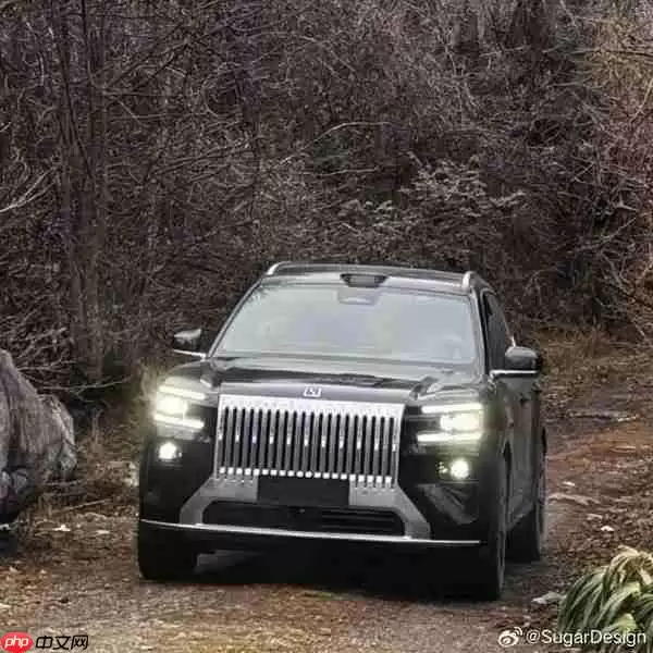 极氪8X实车图曝光：直瀑式格栅设计 今年一季度或亮相