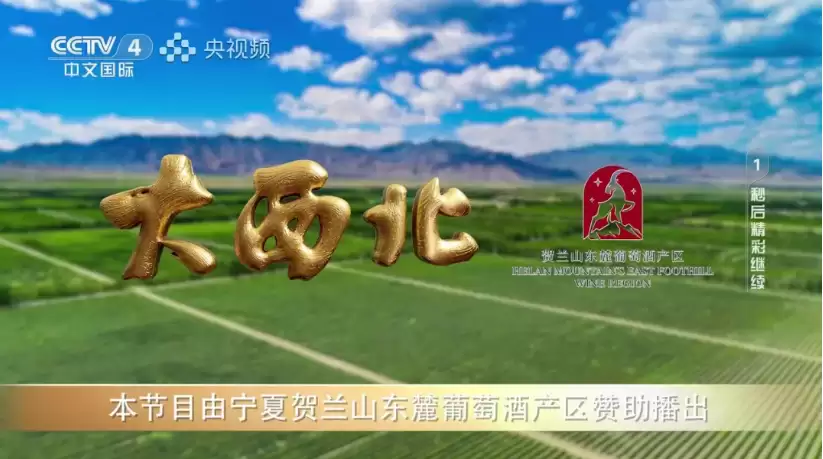 1767855417595428.png image.png