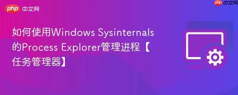 如何使用Windows Sysinternals的Process Explorer管理进程【任务管理器】