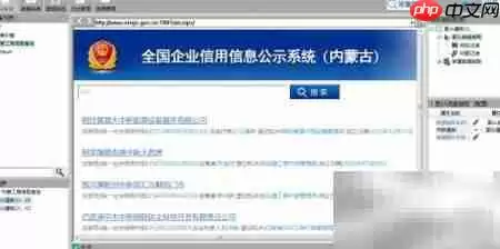 企业信息公示采集成效