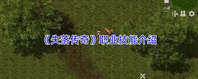 《失落传奇》职业技能介绍