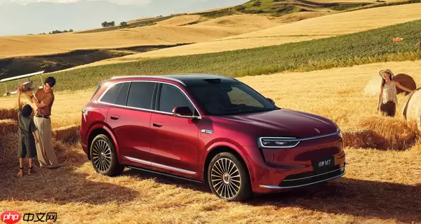 去年12月全国乘用车零售229.6万辆 全年零售2377.9万辆