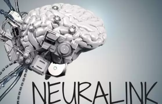 脑机接口产业爆发前夜，Neuralink / 微美全息全面竞逐开辟生态范式革新！