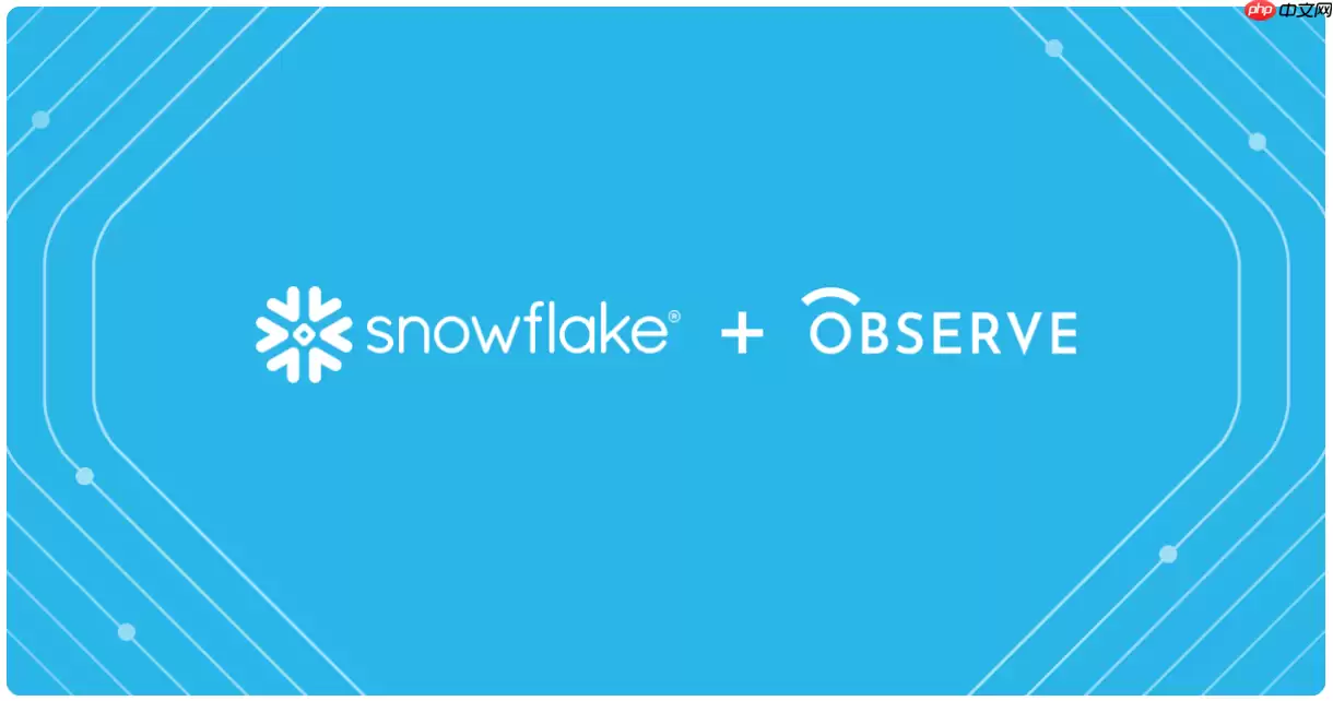 Snowflake 十亿美元收购 Observe