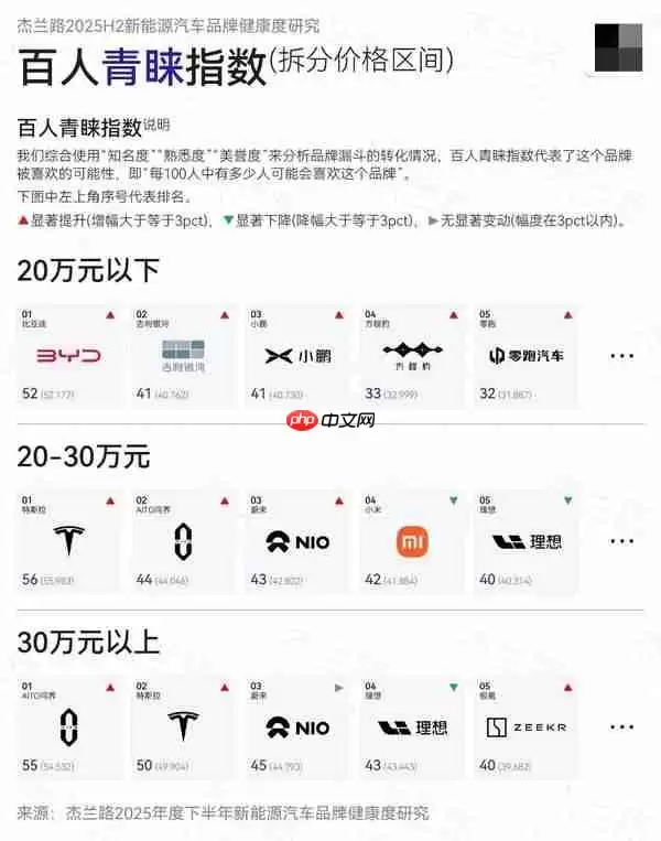 2025下半年新能源汽车品牌知名度：特斯拉排第二