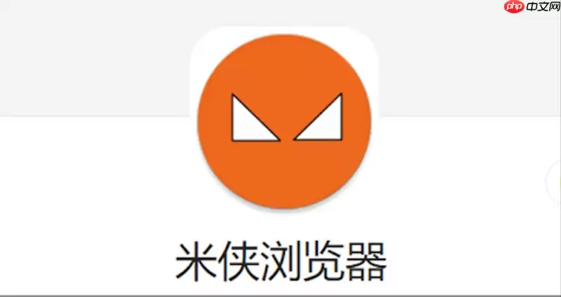 米侠浏览器无法保存图片怎么办 米侠浏览器图片保存权限
