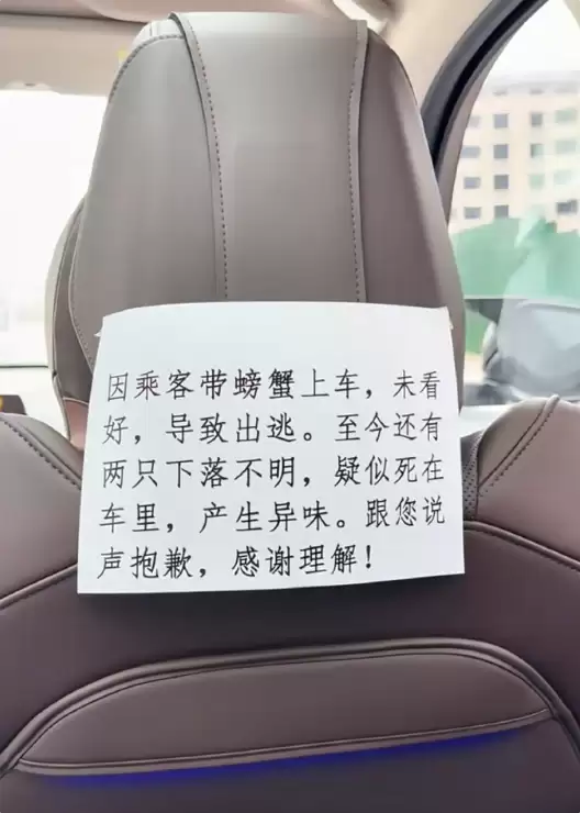 网约车出现“生化异味” 司机贴纸条致歉:螃蟹出逃下落不明