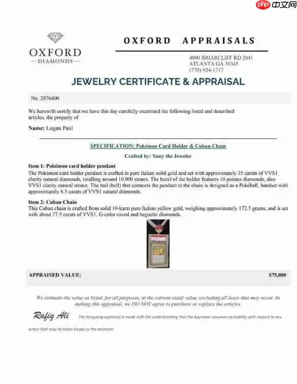 全球唯一PSA 10级最贵宝可梦卡拍卖中!洛根·保罗承诺加码钻石项链
