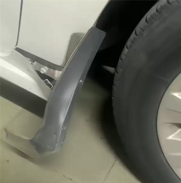 光天化日下两条狗拆了一辆日本车