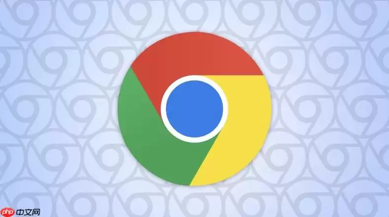 www.google.cn正式入口地址_Google中国版正式首页入口网址