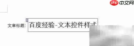 Word2016文本控件样式设置