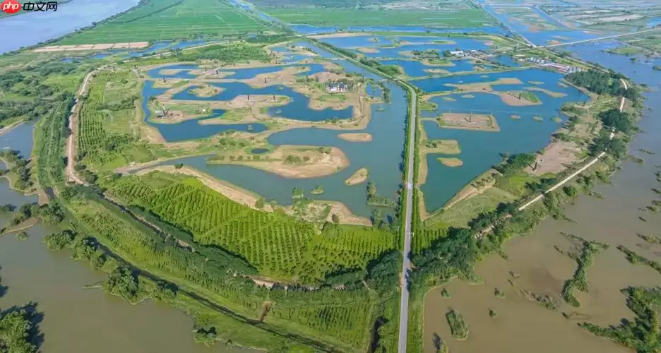 三角洲最新网址入口 唯一正式版游戏