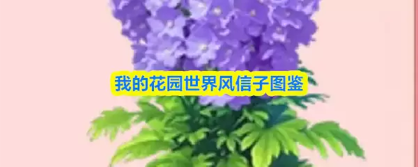 我的花园世界风信子图鉴