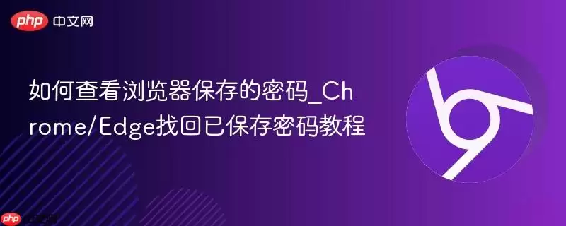 如何查看浏览器保存的密码_Chrome/Edge找回已保存密码教程