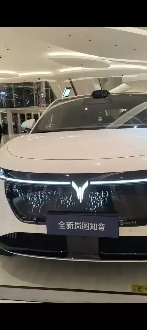 冈图知音实车亮相：高颜值、长续航、智能驾辅引关注