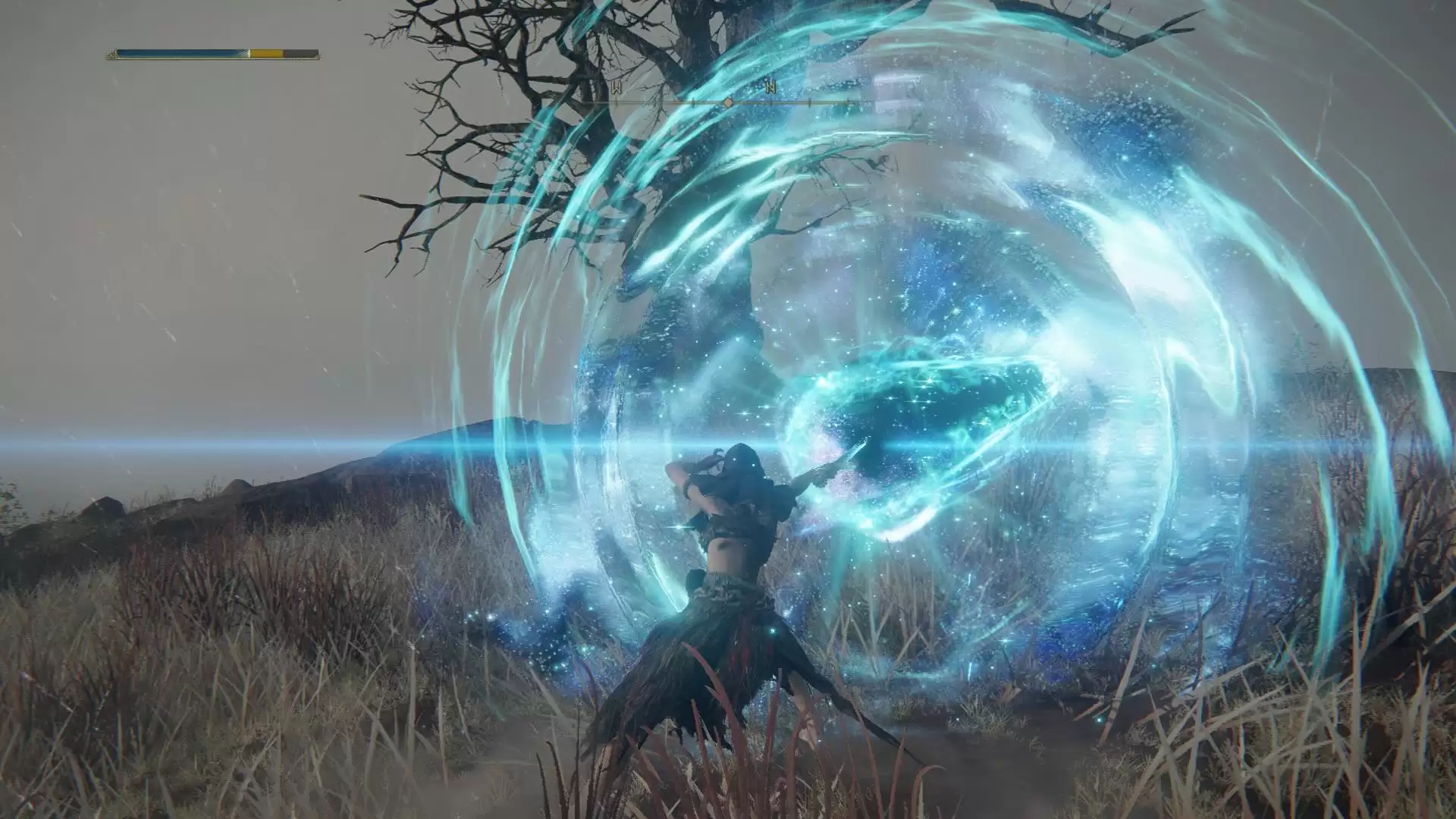 马斯克承认用游戏为双胞胎儿女命名:Strider 源自《指环王》,彗星取自《艾尔登法环》