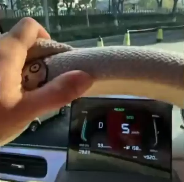 女车主买知豆电动车故障不断：踩电门不走、遮阳板脱落 4S店还关门了