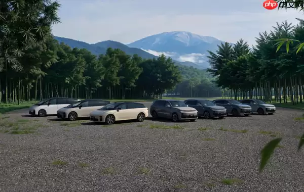 理想汽车产品线负责人疑似回应传闻：网上信息全错！