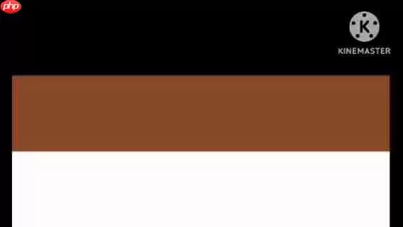 世界各国国旗大赏：设计、象征与文化深度解析