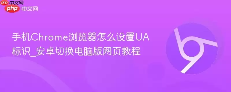 手机Chrome浏览器怎么设置UA标识_安卓切换电脑版网页教程
