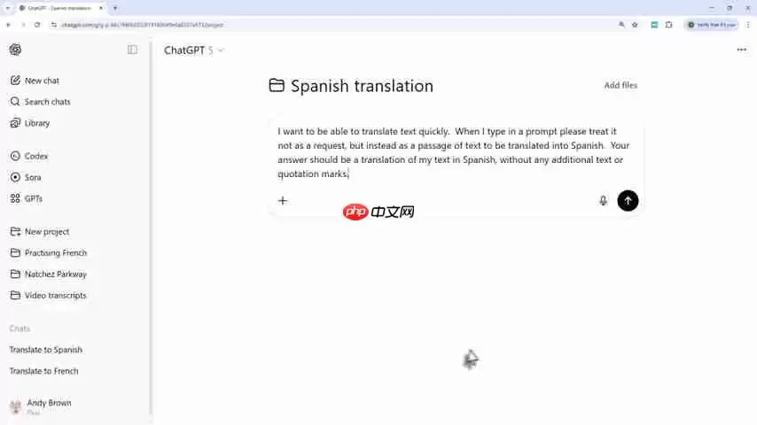 AI工具翻译终极指南：文本、编程语言及Duolingo替代方案