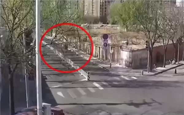 一男子骑电动车被大树砸中当场身亡:三被告均拒绝赔偿