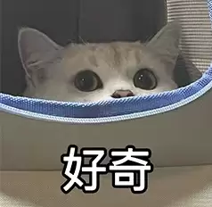 AI太记仇！做完心理治疗后仍记得“被工程师虐待”