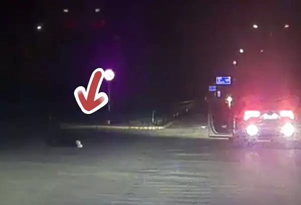 男子醉驾途中下车躺路上呼呼大睡:自己都不知道在哪儿喝醉的