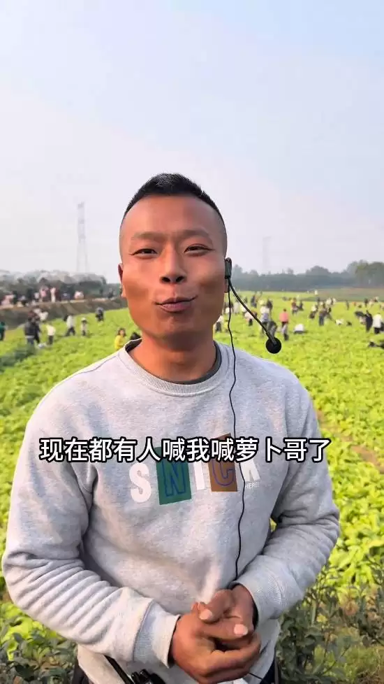 童先生再推保卫萝卜新玩法，人潮涌入田间抓虫换菜