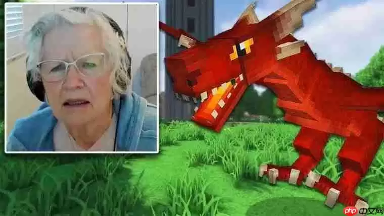81岁奶奶直播《我的世界》为孙子治疗癌症