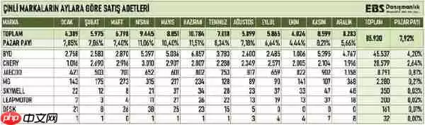 中国汽车品牌去年在土耳其表现强劲 奇瑞达28579辆