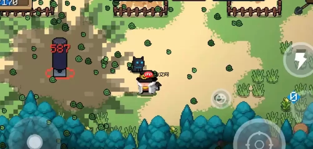 魔法井水如何提升冒险者续航能力?