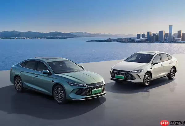 去年12月新能源销量TOP20：小米YU7近四万辆居第三