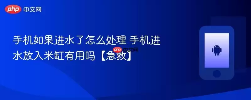 手机如果进水了怎么处理+手机进水放入米缸有用吗【急救】