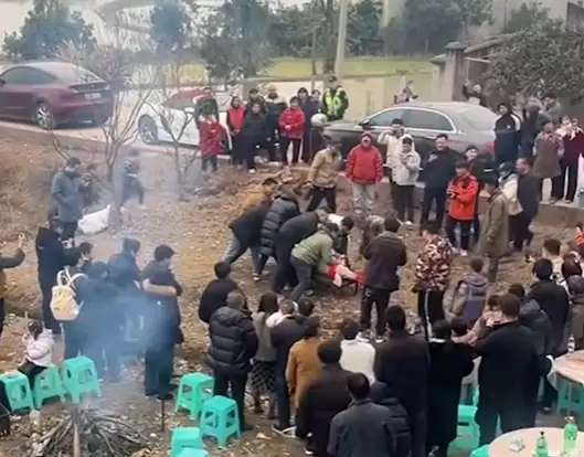 杀年猪爆火！一男子按猪被踢致截瘫：邀约者判赔52万