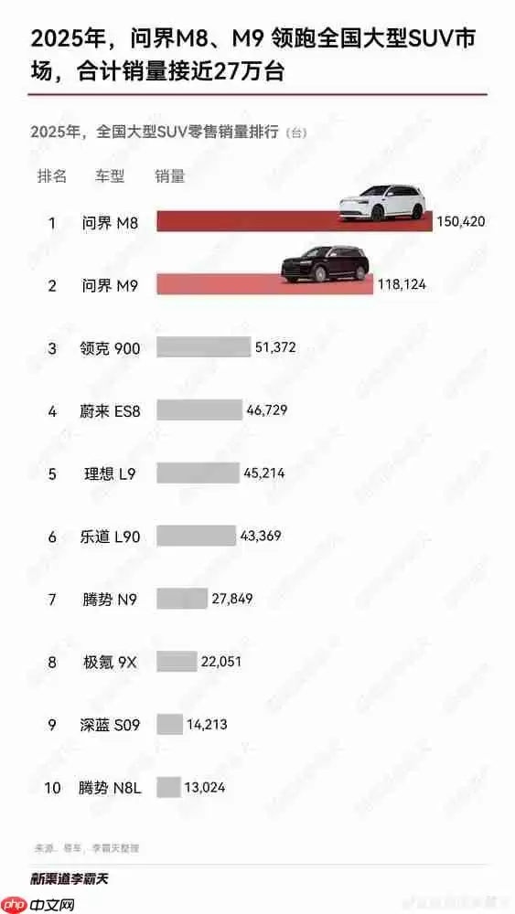 问界M8、M9领跑2025年大型SUV市场 合计销量近27万台