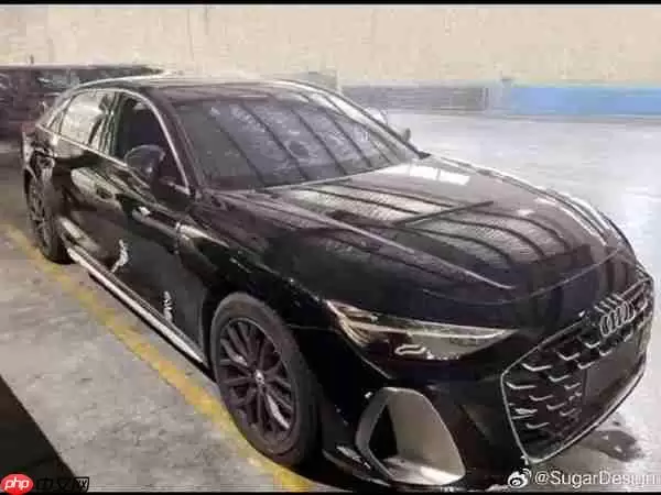 国产新一代奥迪A6L无伪装实拍图曝光 明年一季度上市