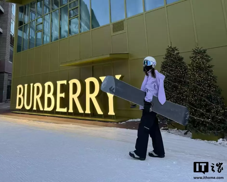 12306 回应部分列车标“雪”字：提供托运雪具服务，不影响普通旅客乘车